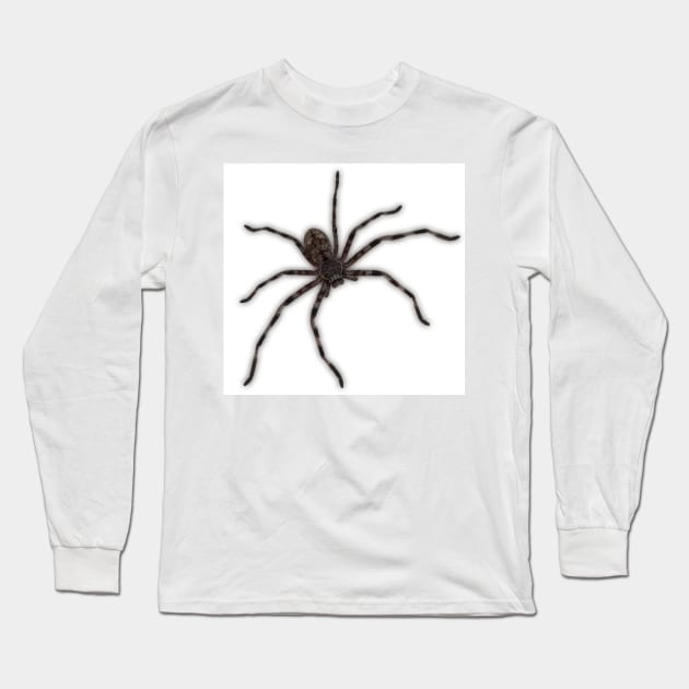 Huntsman Spider (Delena cancerides) Long Sleeve T-Shirt by Red Wolf